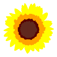 Tour De France Sunflower Sticker by GoZwift