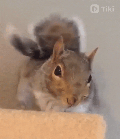 Morning Reaction GIF by TikiIndia