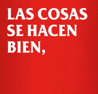 Amstel_ES beer ok perfect cerveza GIF
