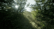 Santa Cruz Fun GIF by Santa Cruz Bicycles
