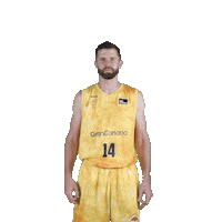 Liga Endesa Basketball Sticker by ACB