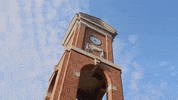 alabama GIF