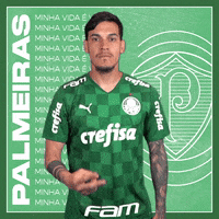 Soccer Futebol GIF by SE Palmeiras