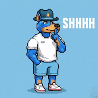 Dog Sd GIF by SkyDog Social