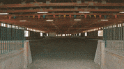 Asir GIF by Atlantic Sotheby's International Realty