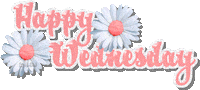 wednesday STICKER