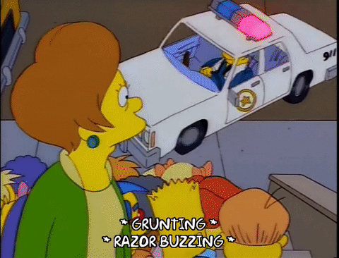the simpsons episode 25 GIF