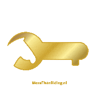 morethanriding key morethanriding morethanridingnl meerdanpaardrijden Sticker