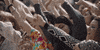luis miguel GIF by netflixlat