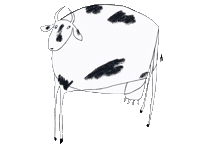 Cow Sticker