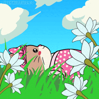 Summer Chilling GIF by Silly Kitties