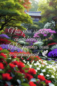 Paysage Colombe GIF by TresorsDuMonde.ca