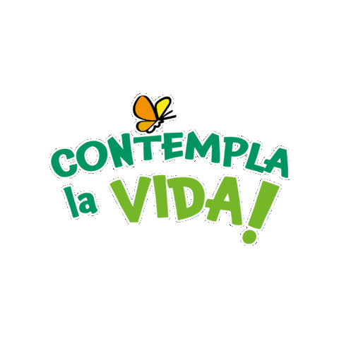 Life Butterfly Sticker by escoles FEDAC