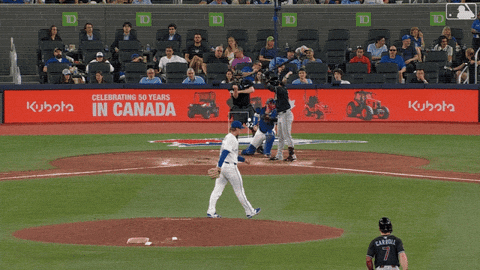 Blue Jays Baseball GIF by Toronto Blue Jays