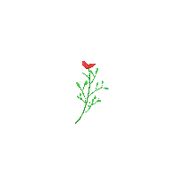 paulinaportnoy art design flower goodmorning Sticker