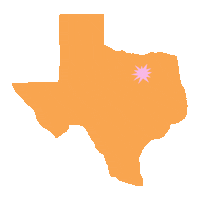 Texas Map Tea Sticker by TEASOM