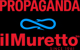 ilMuretto_official disco clubbing propaganda discoteca GIF