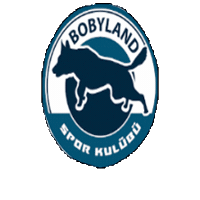 Canicross Bikejoring Sticker by bobyland