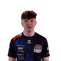 Celebrating Red Bull Sticker by Oracle Red Bull Racing