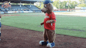 EvansvilleOtters happy fun dancing excited GIF
