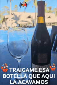Amigos Vino GIF by Murcianys LLC