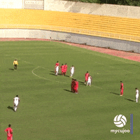 Sao Francisco Wow GIF by ELEVEN SPORTS