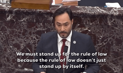Joaquin Castro Impeachment GIF by GIPHY News