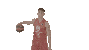Bouncing Liga Endesa Sticker by ACB