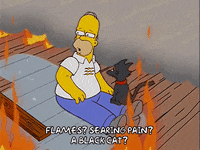 homer simpson snowball GIF
