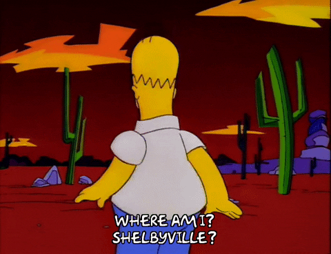 homer simpson GIF
