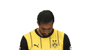 Look Up Borussia Dortmund Sticker by Bundesliga