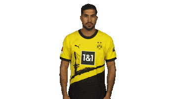 Borussia Dortmund Wow Sticker by Bundesliga