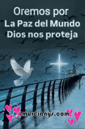 Mar Del Mundo GIF by Murcianys LLC