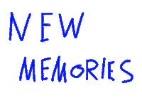 PARADISE_STUDIO studio paradise international palm Sticker