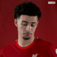 Happy Premier League GIF by Liverpool FC