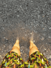 water waves GIF by Neckermann Reisen