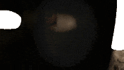 Horror Scarecrow GIF by Lionsgate