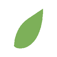 Leaf Feuille Sticker by Cadentia