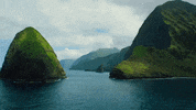 Surfing Hawaii GIF by 50statesproject