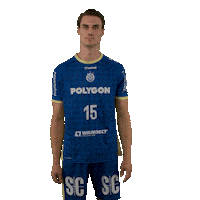 Handball Sticker by DAIKIN HBL