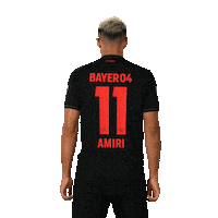Bayer 04 Football Sticker by Bayer 04 Leverkusen
