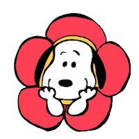 Flower Rose Sticker