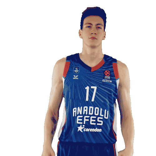 Sport Basketball Sticker by Anadolu Efes SK