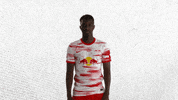 Happy Football GIF by RB Leipzig