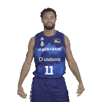 Liga Endesa Sport Sticker by ACB