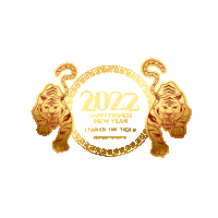 Happy New Year Festival Sticker by 360 Tour Toronto