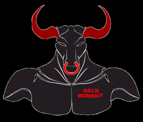 bullsworkout giphygifmaker GIF