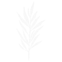 Flower Plant Sticker by Sálvora Store