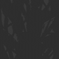 Dark Forest GIF