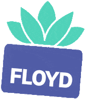 FloydHome plant cactus floyd floydhome Sticker